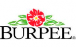 Burpee Coupon